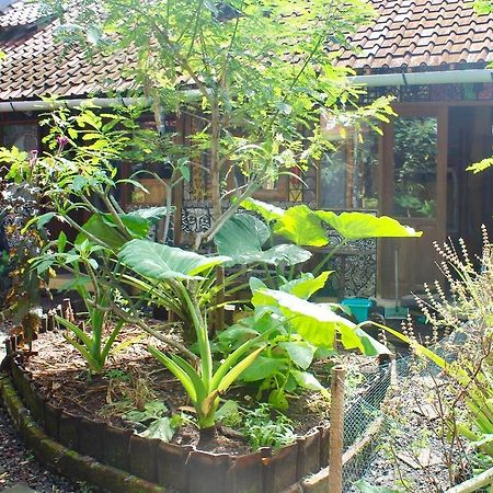 Farmer'S Yard Hostel Canggu (Bali) Exterior photo