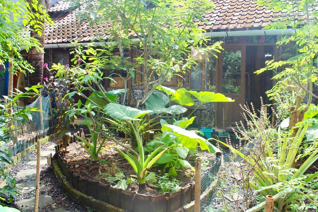 Farmer'S Yard Hostel Canggu (Bali) Exterior photo
